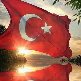 orfagormez's profile picture. 