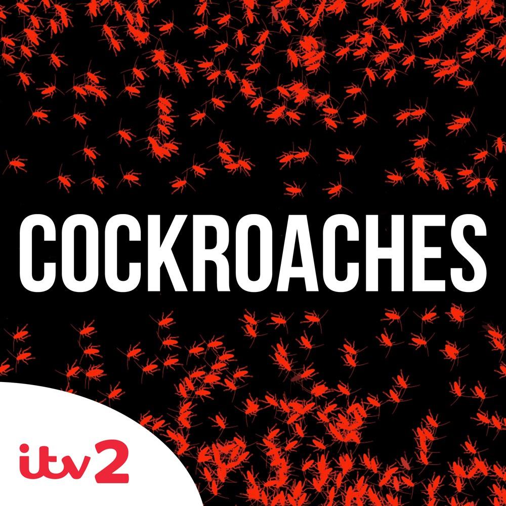 Brand New Comedy #Cockroaches - Starts 10pm Tuesday 13th January on @ITV2