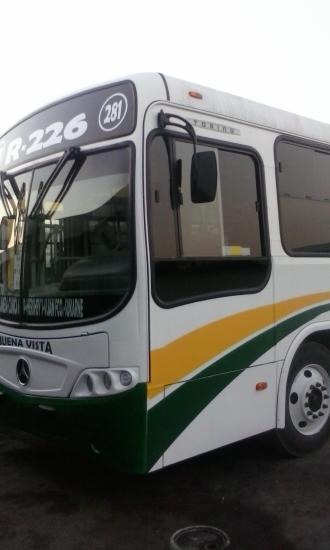 pedroan65032689's profile picture. 