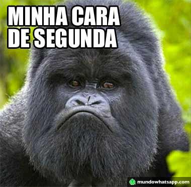 ame quem te ama,ame quem te odeia.