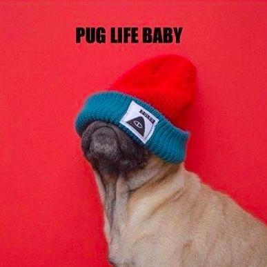 RealDaVerse's profile picture. Rapper, Musician, Gamer