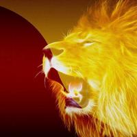 HÜR ASLAN (@huraslancom) 's Twitter Profile