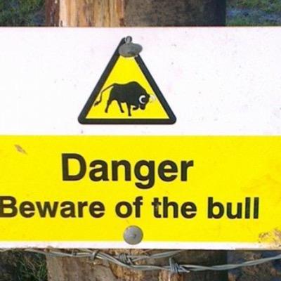 bullythetrucker's profile picture. 