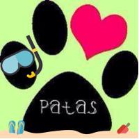 Patas Panama (@pataspanama) 's Twitter Profile