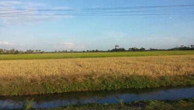 suzhoubill's profile picture. 