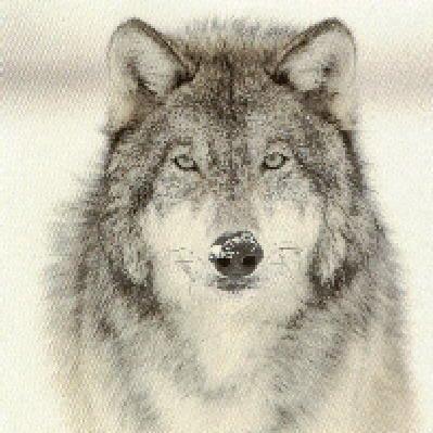 franpic2's profile picture. 