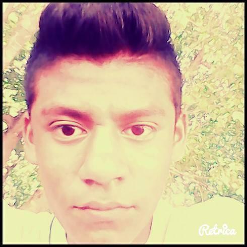 hacer *longboarding*