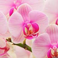 There are only two forces in the world that separates people, disagreements and hate.-Codrut Magheru