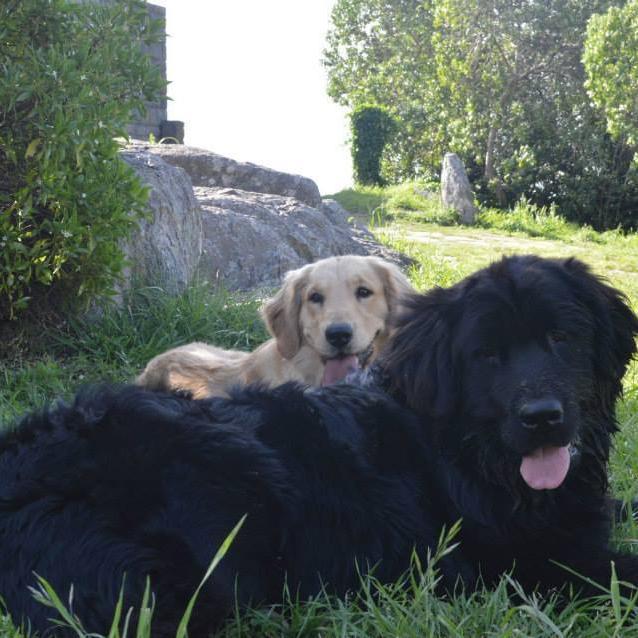 buffacharo1's profile picture. 