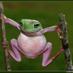 The Frog (@thefroggy66) Twitter profile photo The Frog (@thefroggy66) Twitter profile photo