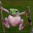 thefroggy66's profile image