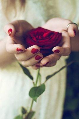Mohamme50954096's profile picture. 