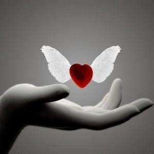 Se me perguntarem qual o sentimento que considero mais bonito ou mais importante, vou abrir um sorriso e dizer: o correspondido.