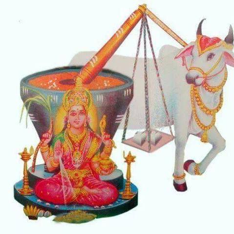 samyuktasamaj's profile picture. 