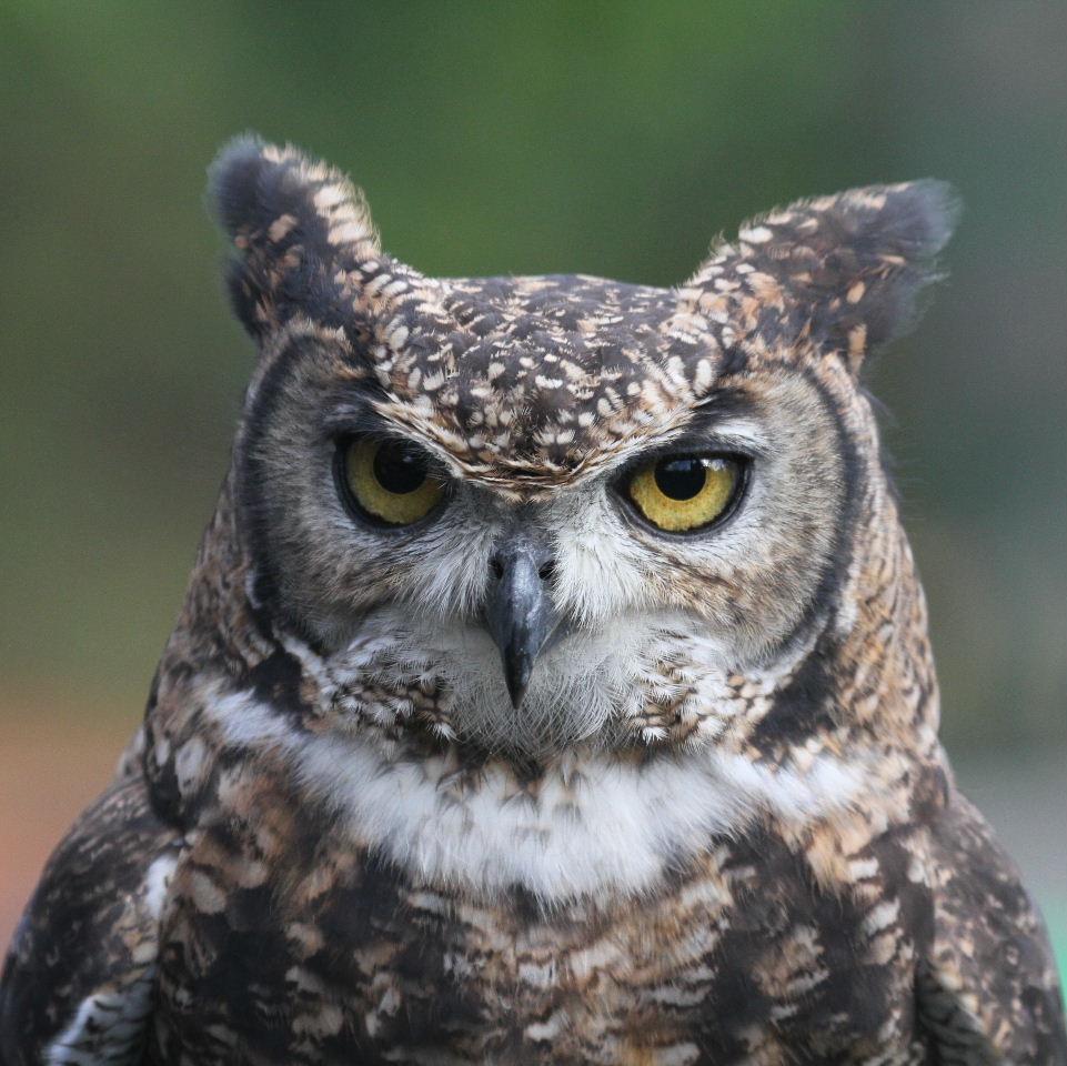 AugustLux's profile picture. 