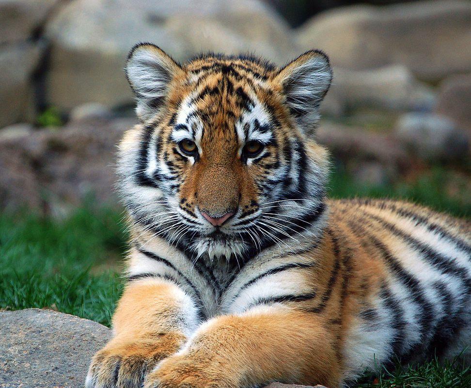 SEdgardo02's profile picture. 