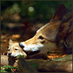 Aleksander Bourley (@xazyxyhywyqo) Twitter profile photo Aleksander Bourley (@xazyxyhywyqo) Twitter profile photo