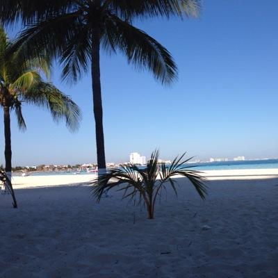 sb_1984's profile picture. 