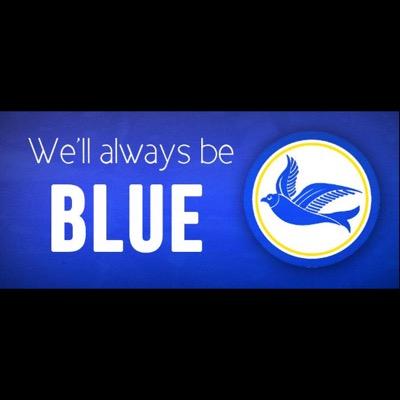 Saundersfoot Bluebird