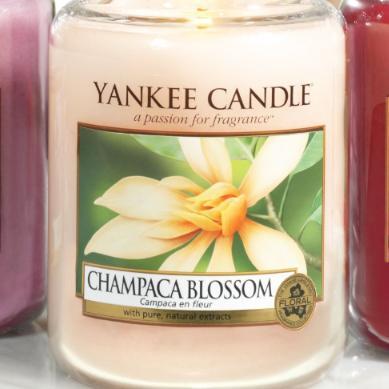 Yankee Direct is an authorised Yankee Candle retailer, we are currently one of the largest Yankee Candle retailers in Europe!!