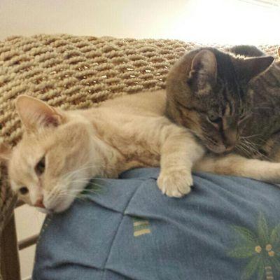 goout4fish's profile picture. 