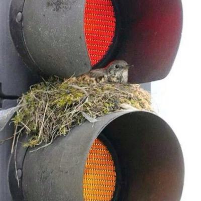 PrensaDpto's profile picture. 