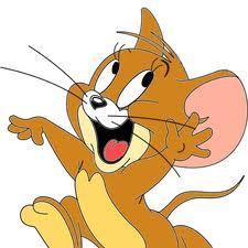 dzeri_na_tom's profile picture. 