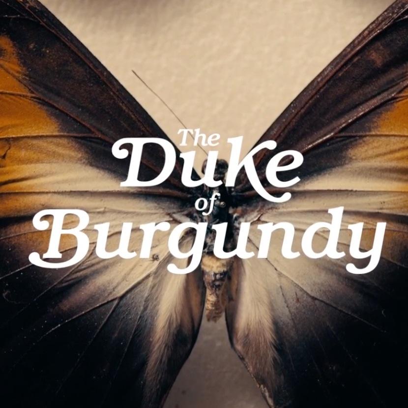 #TheDukeOfBurgundy is a dark melodrama from Peter Strickland, the award-winning director of Katalin Varga and @BerberianSound. #pinastri