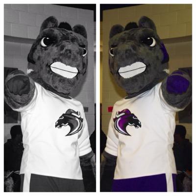 The official Twiter page of the Ridge View mascot: Blaze The Blazer.  | Follow the IG page: rv_blazer