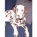 Jessica Marble - @jesikam76 - Twitter