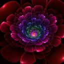 Beth Gerlach - @gerlach_beth - Twitter