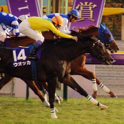 競馬好き社会人。競馬に関するつぶやきをしていきます。 好きな馬はステイゴールド、ダイワスカーレット、サウンズオブアース、インディチャンプ。