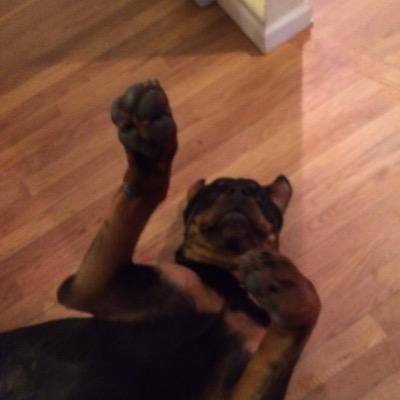 CodyMillard1's profile picture. 