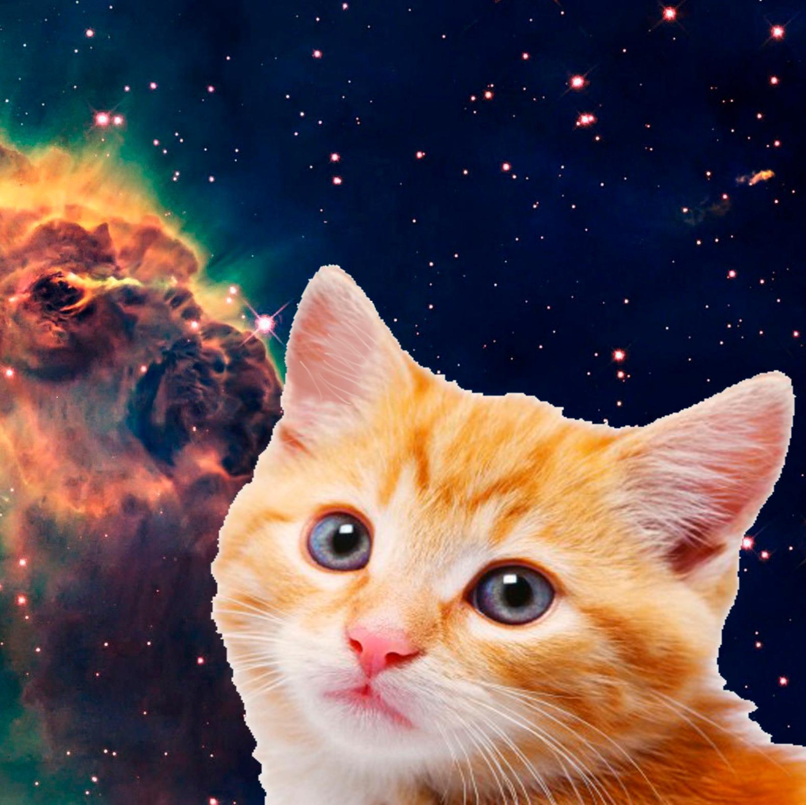 yo solo se decir bee porque obvio soy una cabra