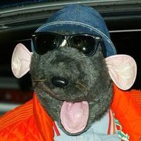 Colin Ziepe (@ziepester) 's Twitter Profile