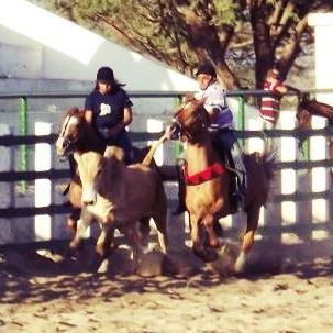 Parque de vaqueijda & Haras Campestre Proprietário SR: Didi Organização Tonho Campestre e Cicero Campestre! Onde o prazer é correr boi #Chamaa #Txô