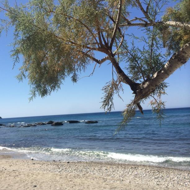 snissant's profile picture. 