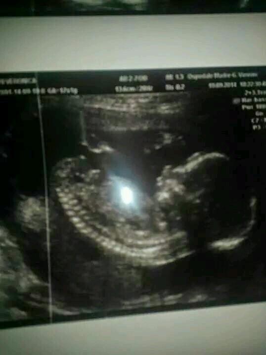 carlobernardi8's profile picture. Appassionato fotografo