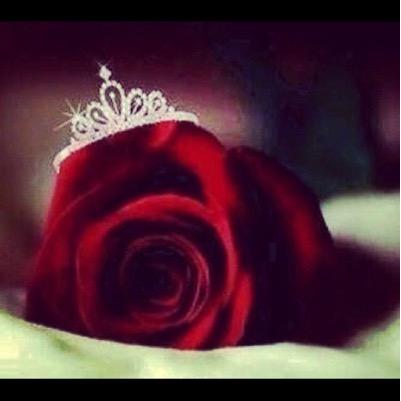سبحان الله وبحمده سبحان الله العظيم