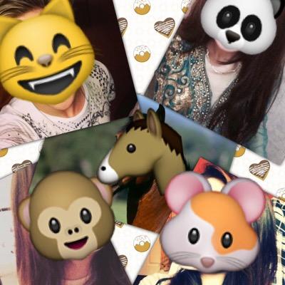 new mariachi band called Walking On Pavements official acc!!! ✨ Members; @Jgrahamofficlal, @razzysheeran, @louisftsims, @ElyarFox and a horse