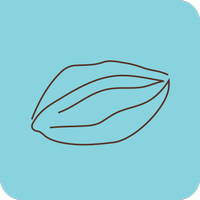 Rochef Chocolatier (@rochefchoco) 's Twitter Profile