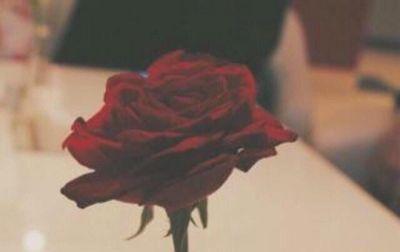 ‏‏لو رأى أحدكم طرف الجنّہ.لصُلب ظهره من كثر الصلاة ♡ ! الخاااص ممنوع؛