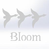 slieve bloom cricket (@slievebloomcc) 's Twitter Profile