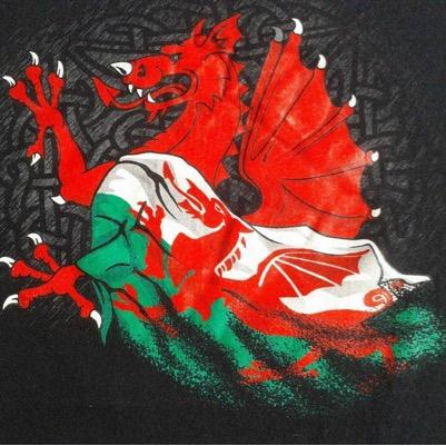 Hogan o Sir Fon gwlad y medra, wedi ymgartrefu yn sosban land, cefnogwr scarlets, gweithio yn y prif ddinas. fiws fi di rhain btw