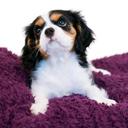 liz currie - @111hotchocolate - Twitter