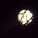 Megan Fitzpatrick - @meganfitz_1 - Twitter