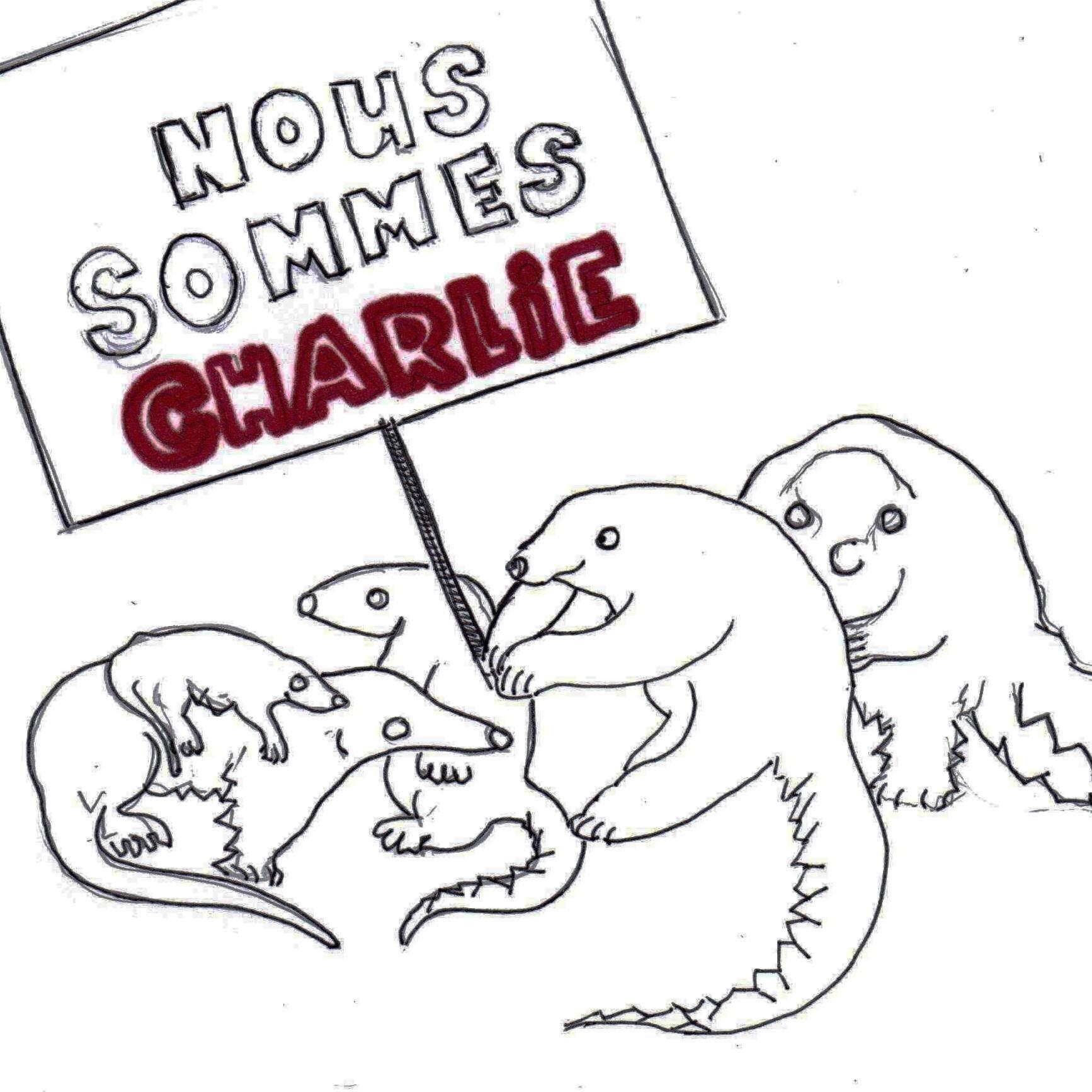 LesPangolins's profile picture. 