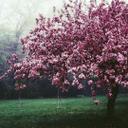 Kristina Hahn - @andrejbeam - Twitter