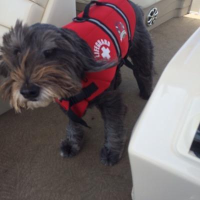 Shadetree930's profile picture. 