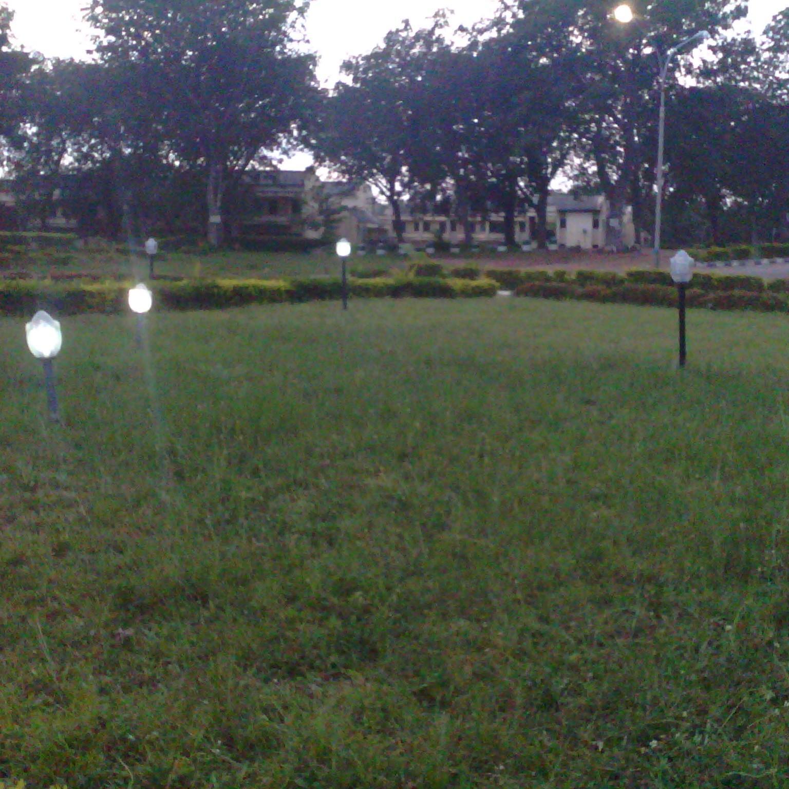 Shola0404's profile picture. 